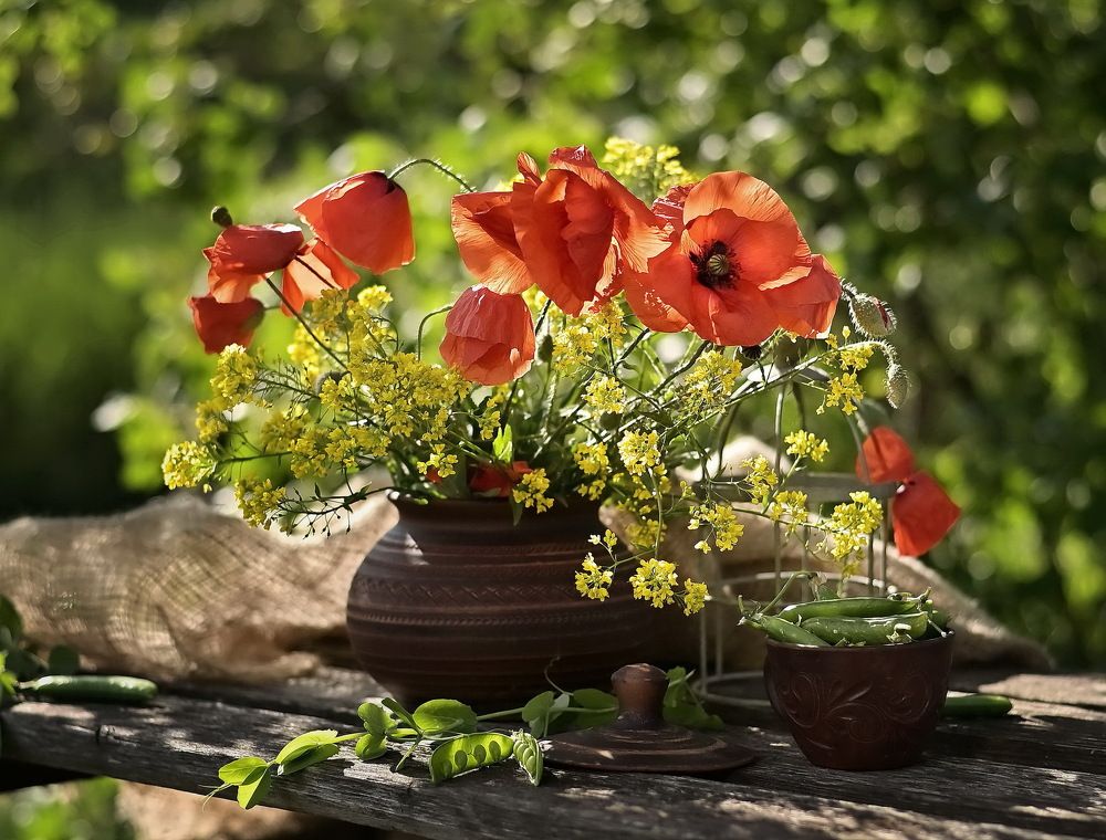 Солнечное настроение.