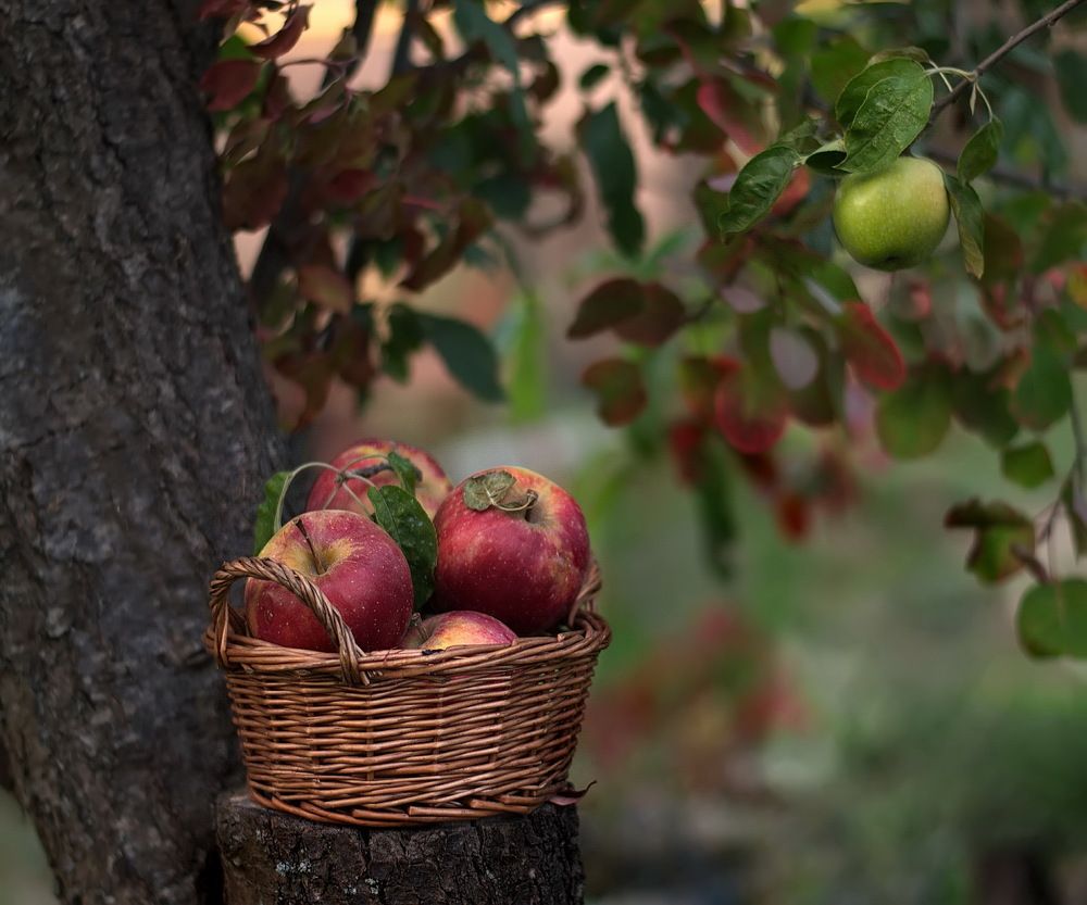 Свое среди чужих..)