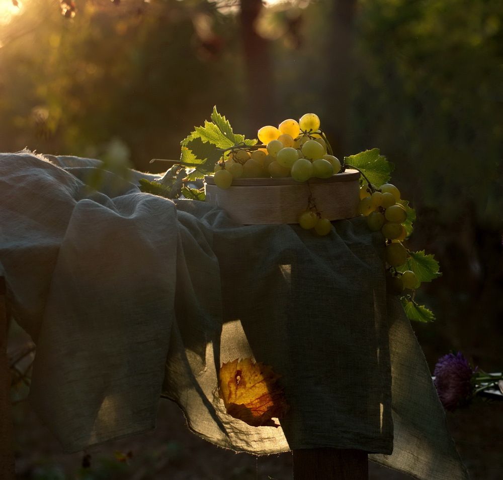 Первый осенний лист...