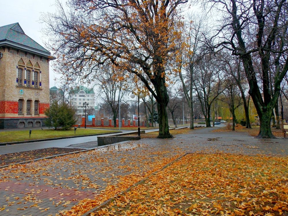 Photograph by Олександр Розум