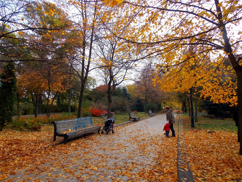 Photograph by Олександр Розум