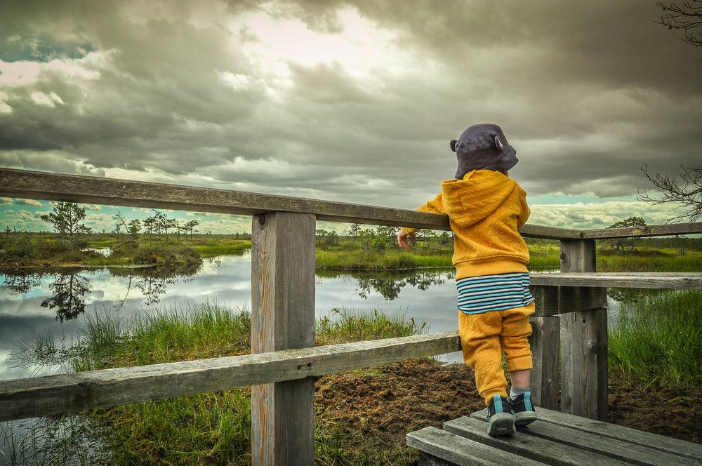 The big view of the little man