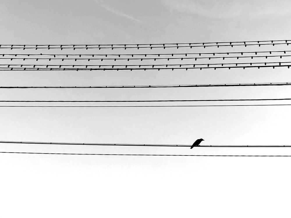 Photograph by Karina Yakovleva