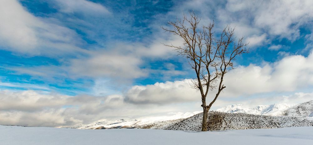 Photograph by Vahid Sabet