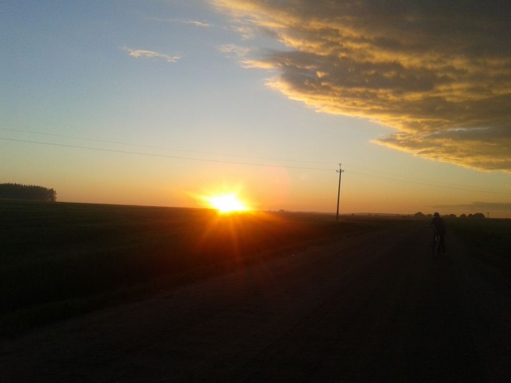 Photo #5582421