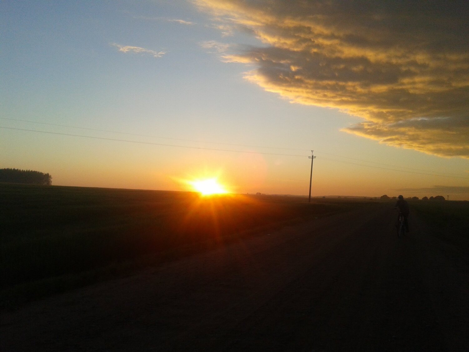Photo #5582421
