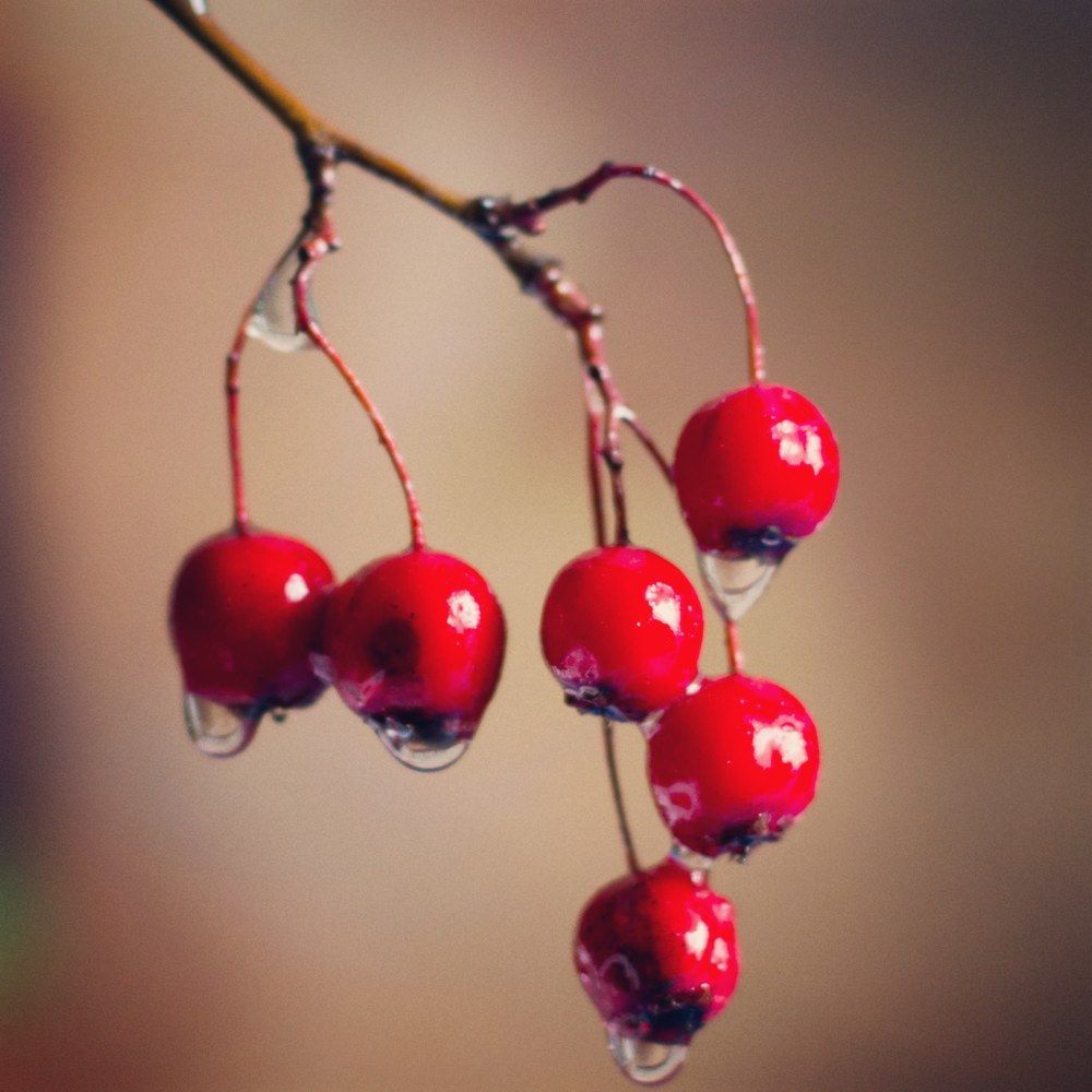 Photograph by Сергей Маркелов