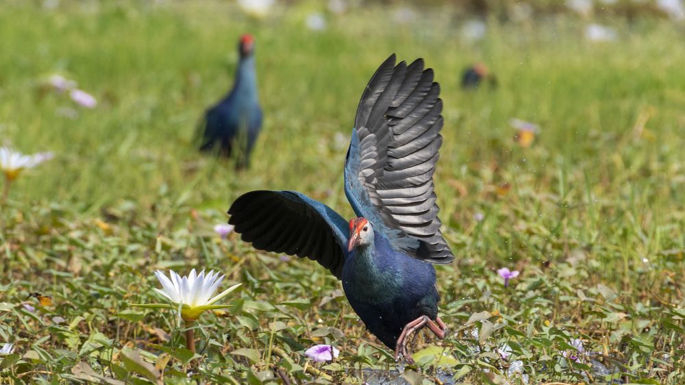 Фотография автора Gokul Addanki