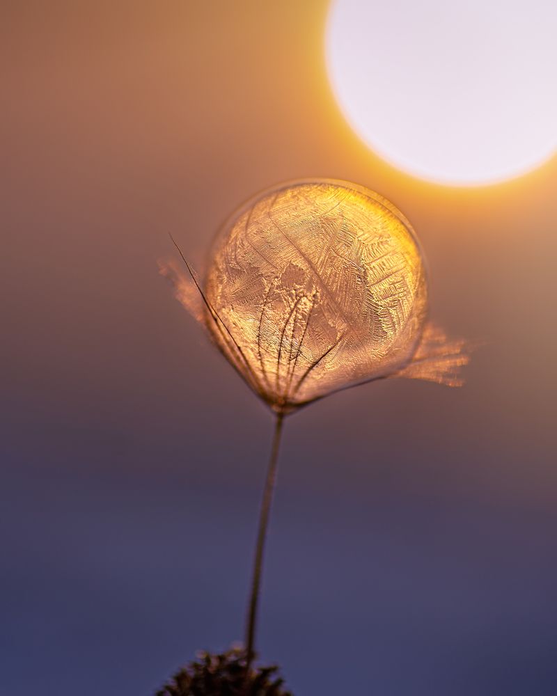 Фотография автора Андрей Сосновский