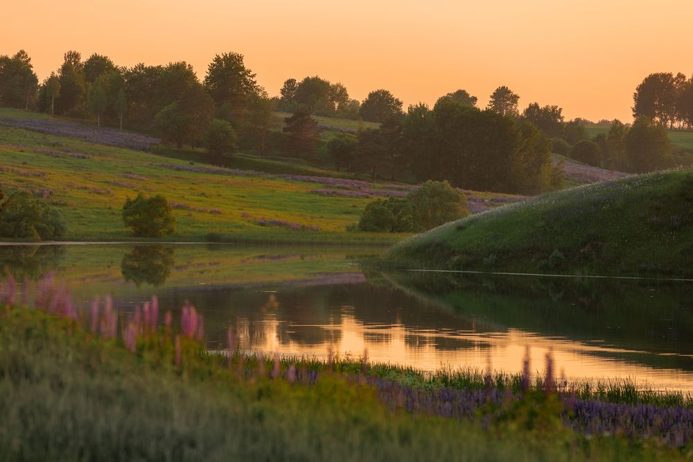 Photograph by Мария Бочкова