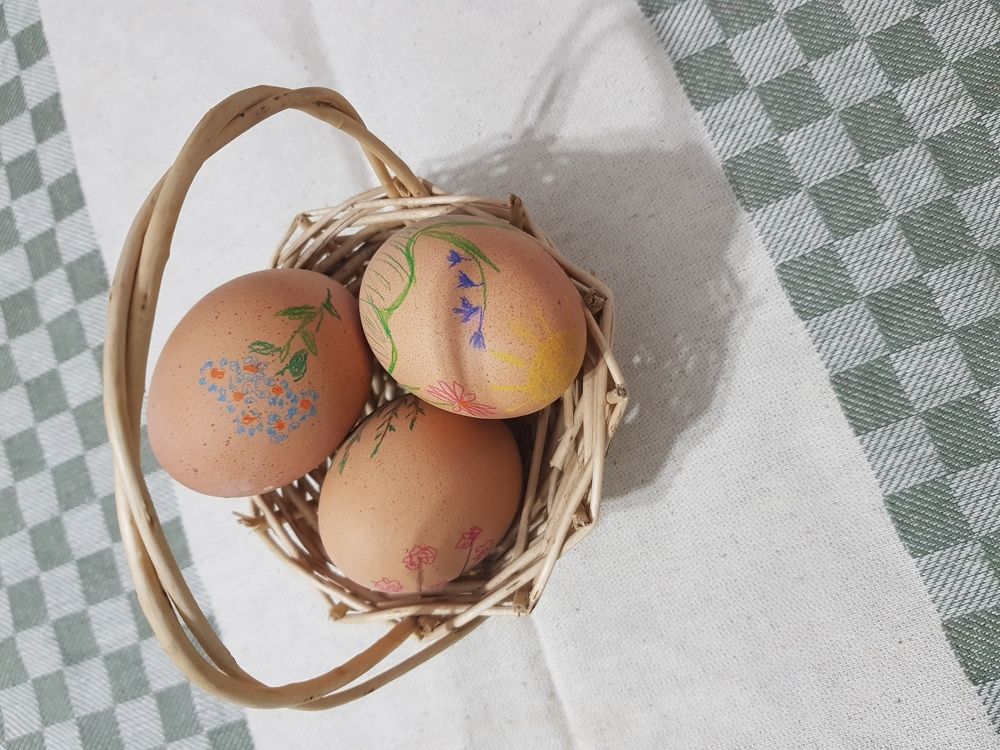 Photograph by rusenescu ramona