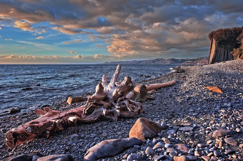 Розовая коряга