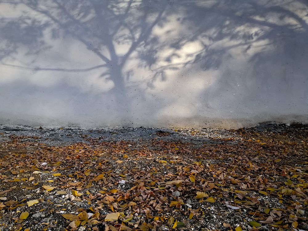 Photograph by Abbas Rahimi