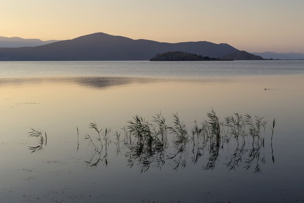 Photograph by TETYANA LYAPI