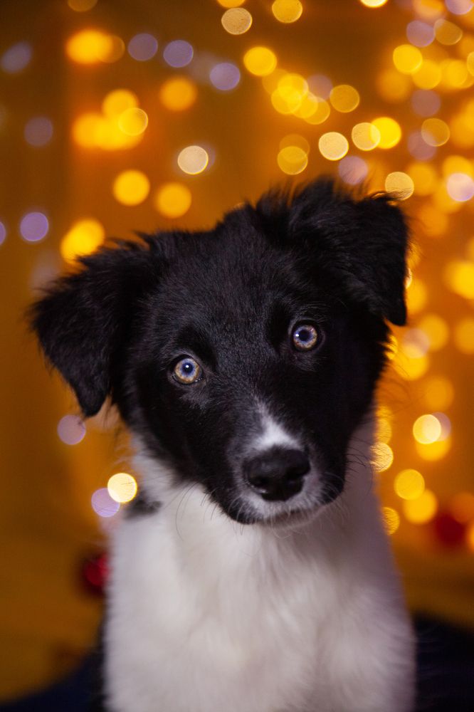 Photograph by Тамара Романенкова