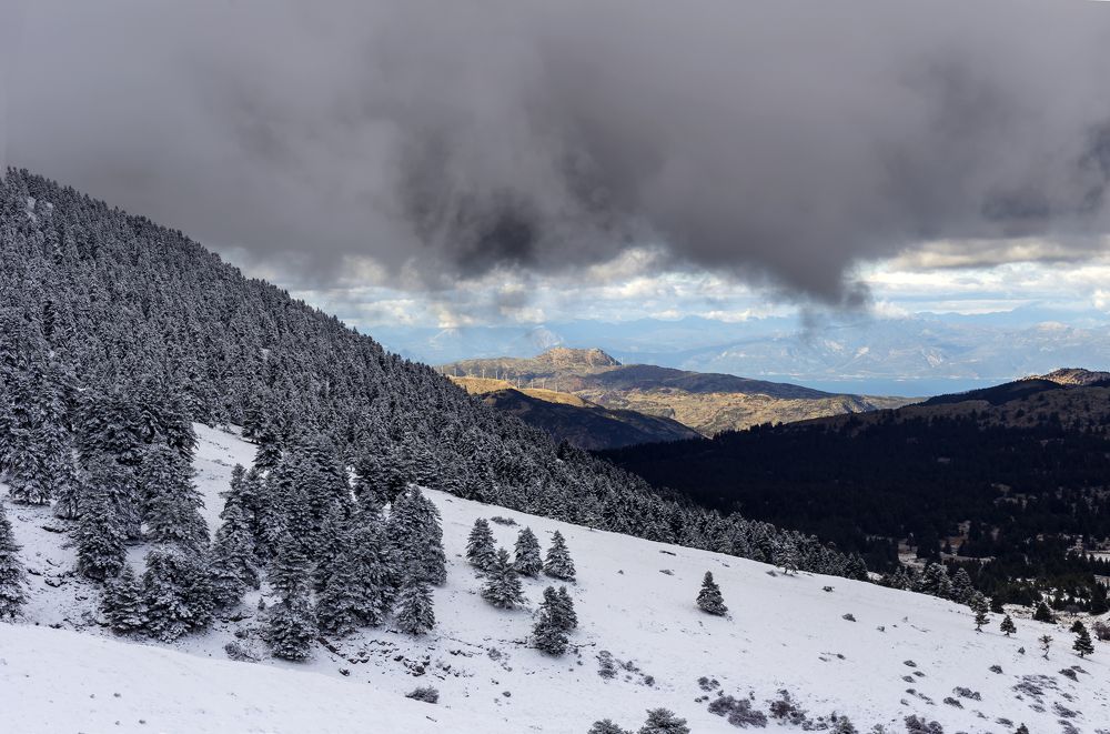 Photograph by TETYANA LYAPI