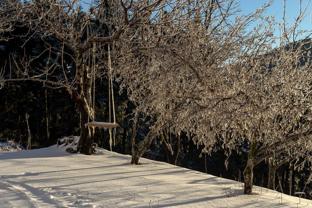 Photograph by TETYANA LYAPI