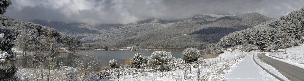 Photograph by TETYANA LYAPI