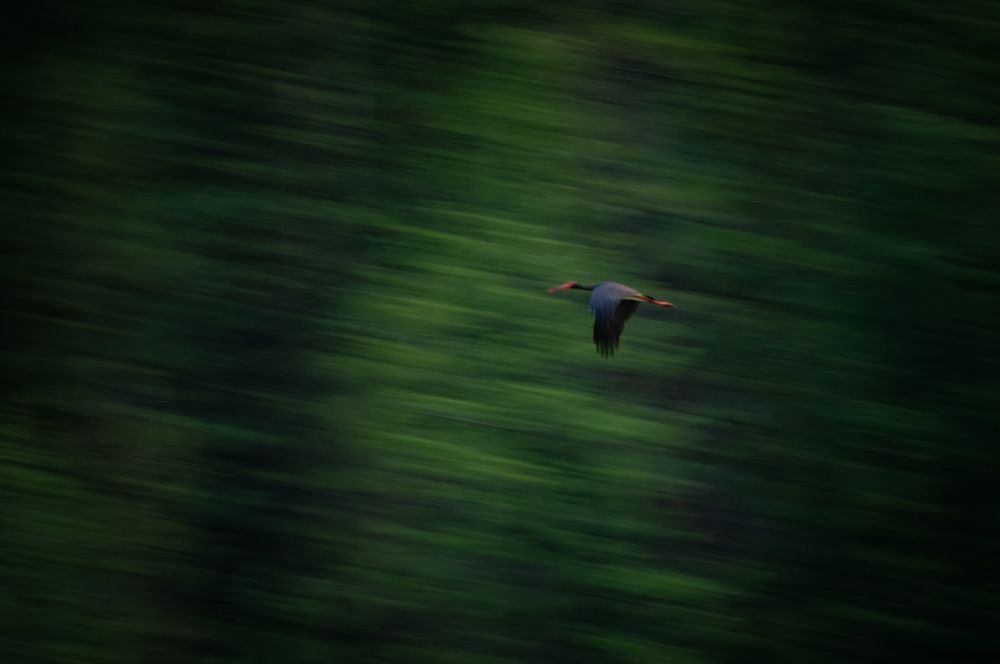 истребитель 6-го поколения