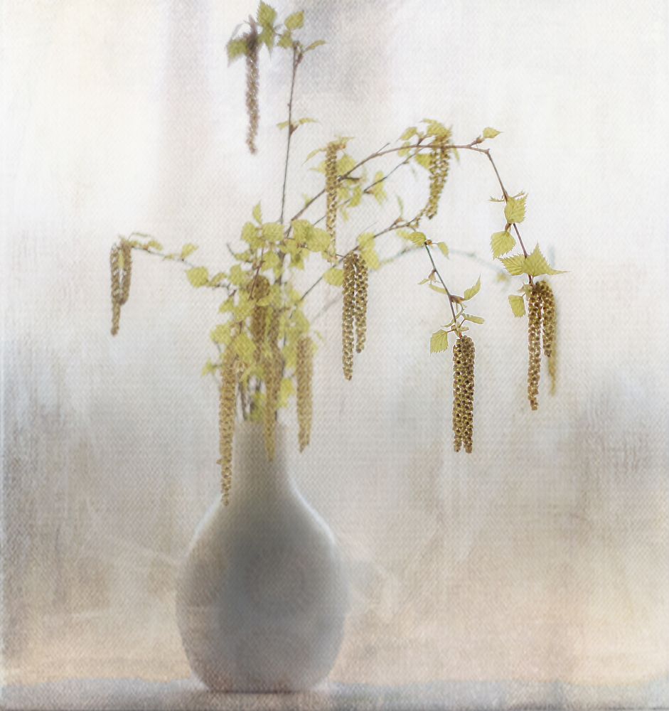 Photograph by Светлана Лехмус