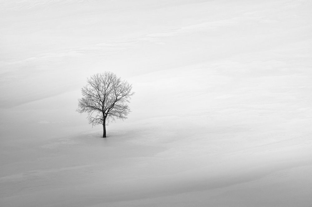 Фотография автора  Евгений