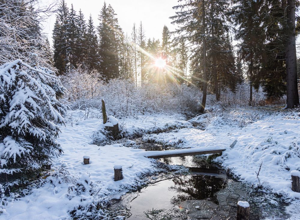 Мороз и солнце