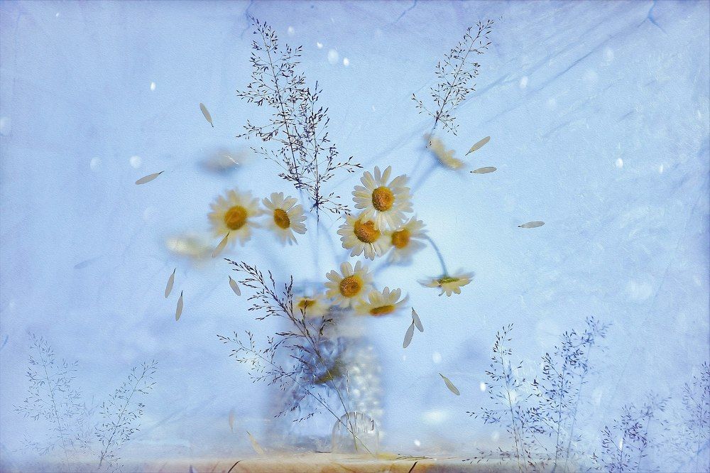 Photograph by Светлана Лехмус