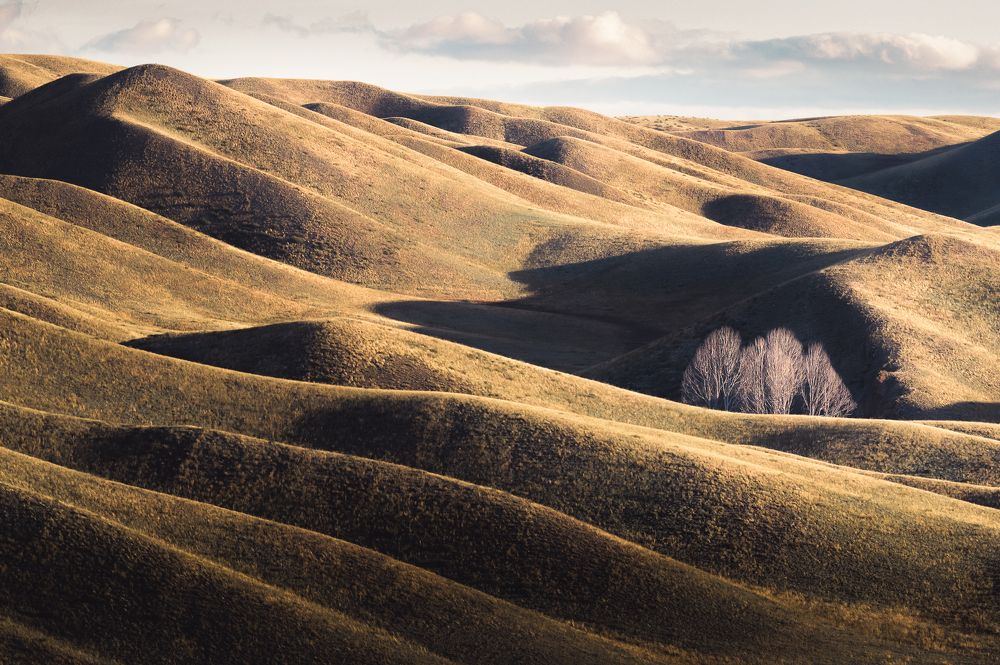 Фотография автора  Евгений