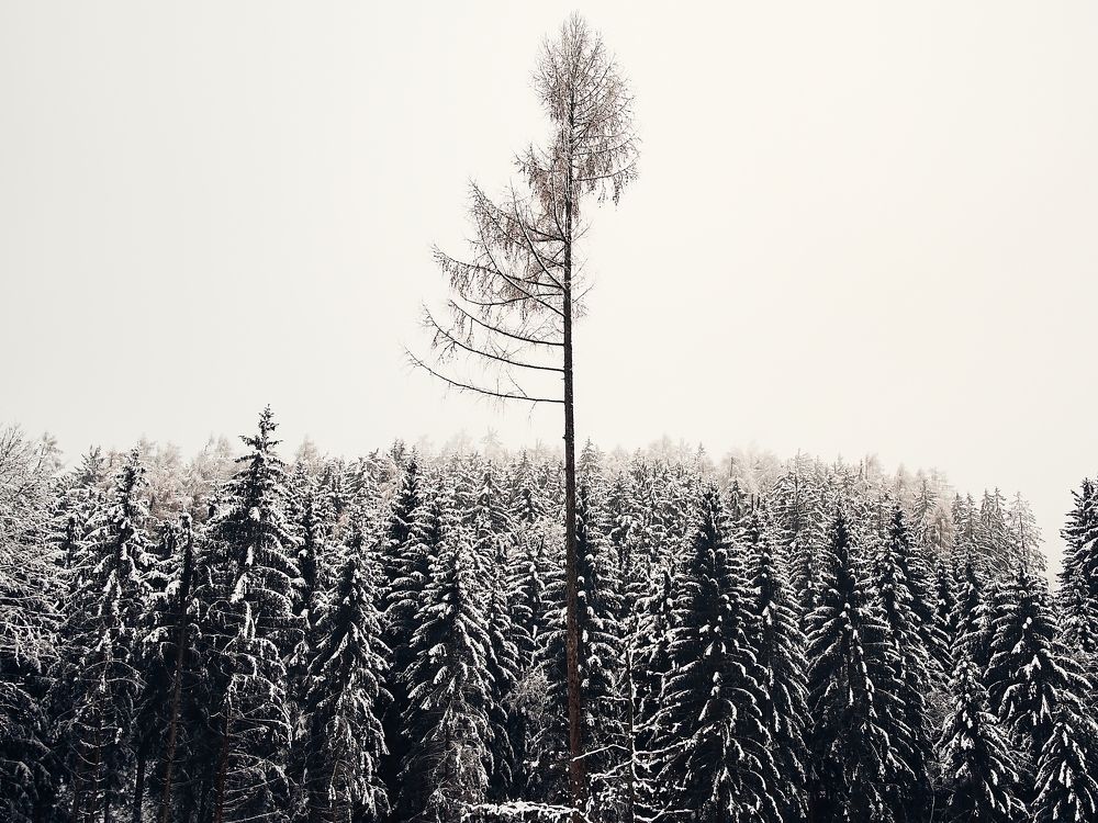 Photograph by Samuel Magnús