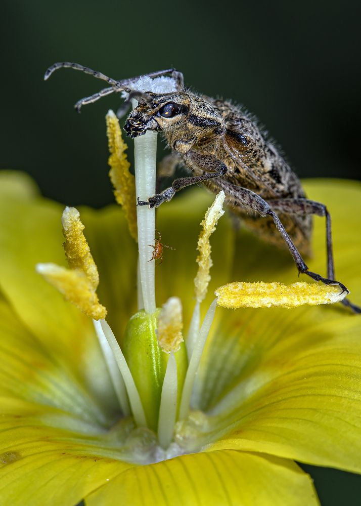 Photograph by Сергей Федоренко