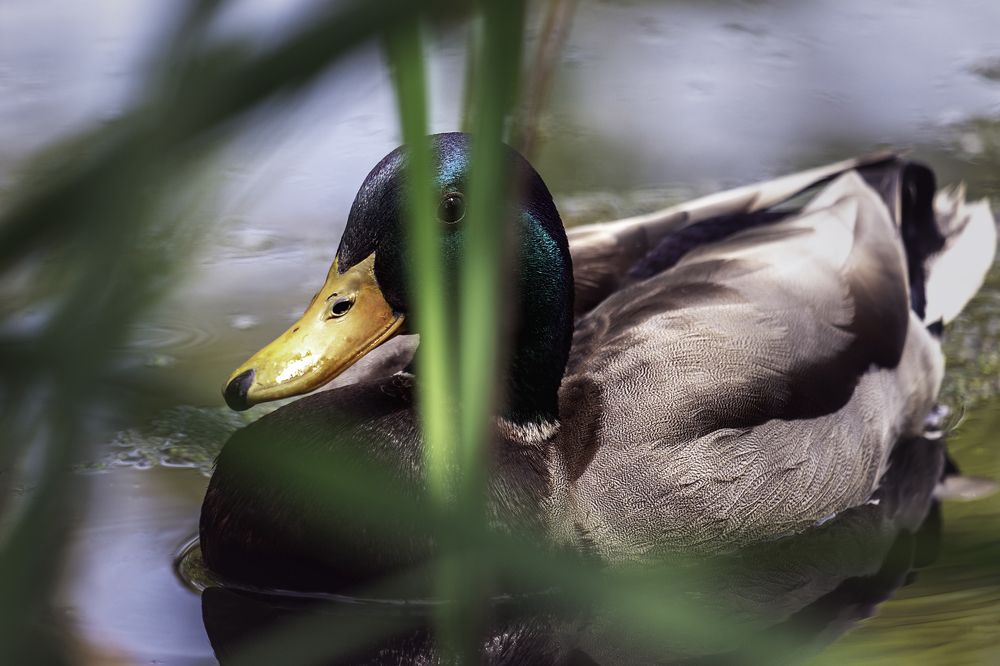 Photograph by Армен Майтесян