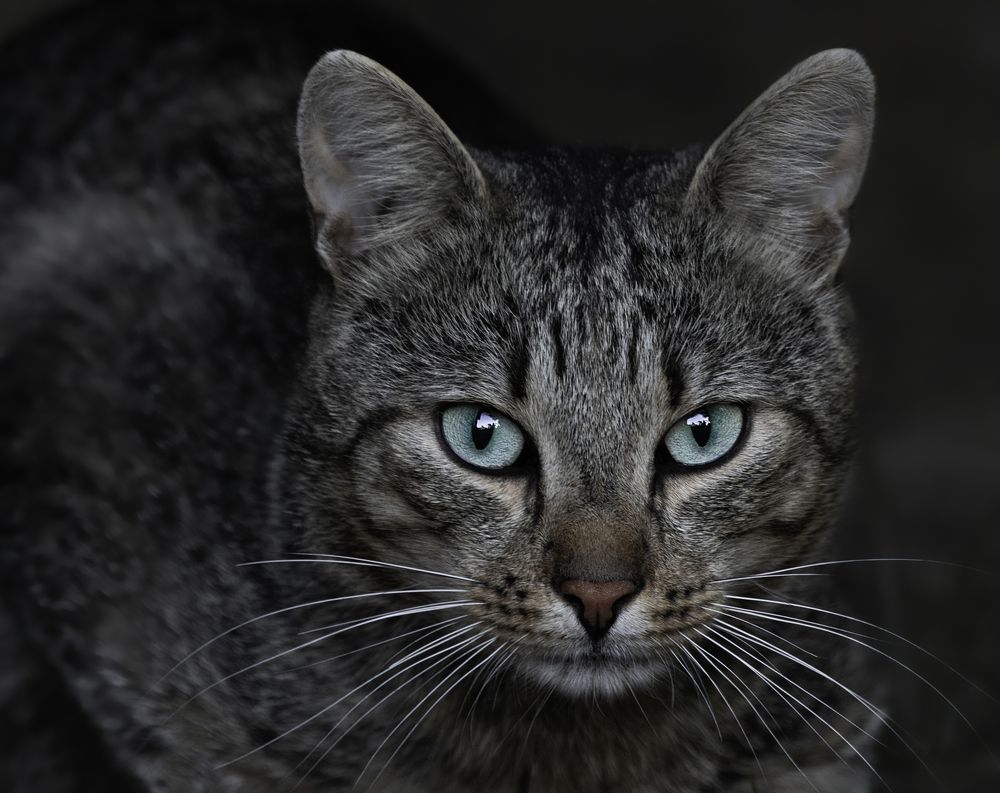 Photograph by Армен Майтесян