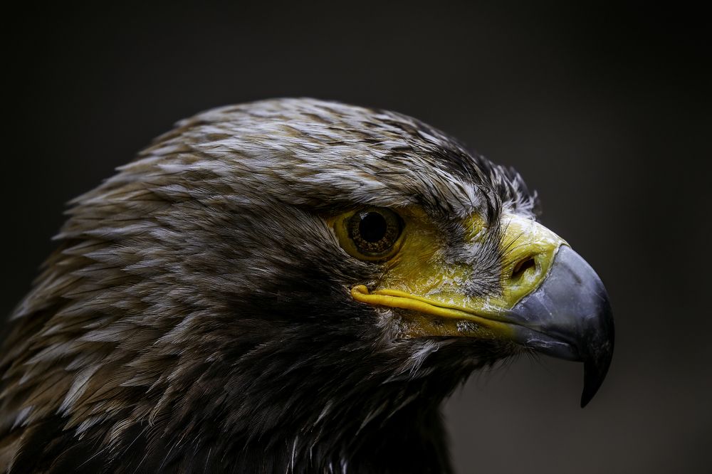 Photograph by Армен Майтесян