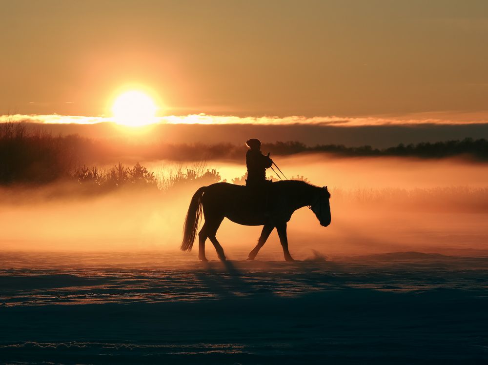 Evening dreams