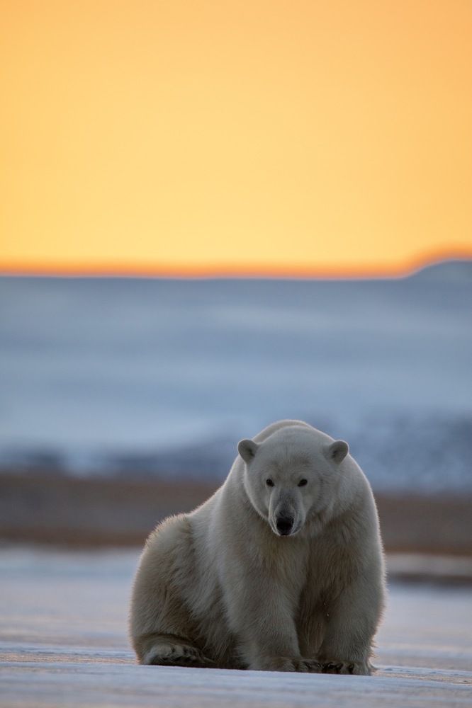 Photograph by Владимир Цветов