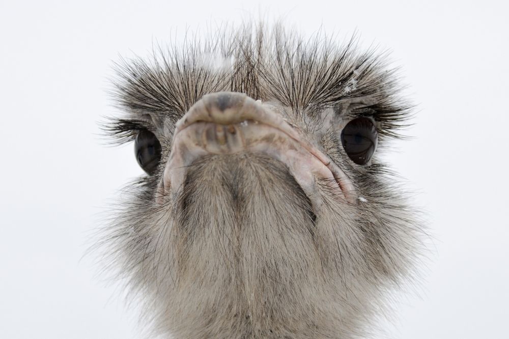 Photograph by Николай Соколовский