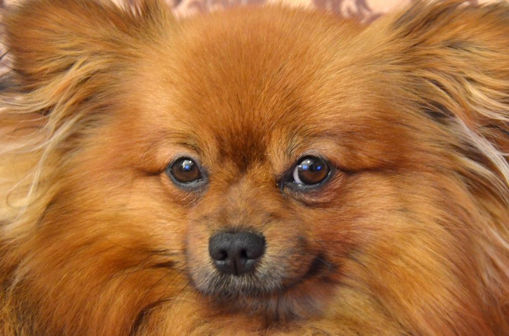 Photograph by Николай Соколовский