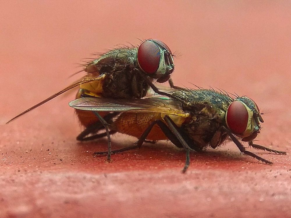 Photograph by Susmita Ghosh