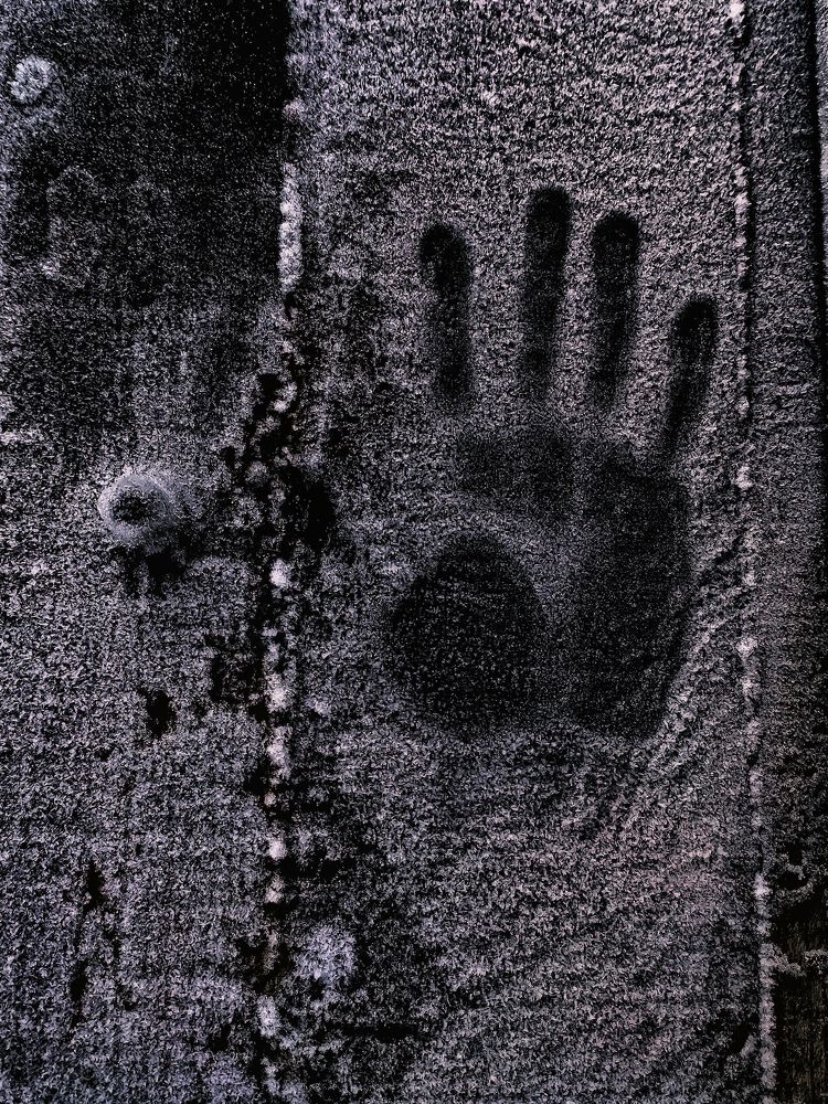 Photograph by Алеся Писнова