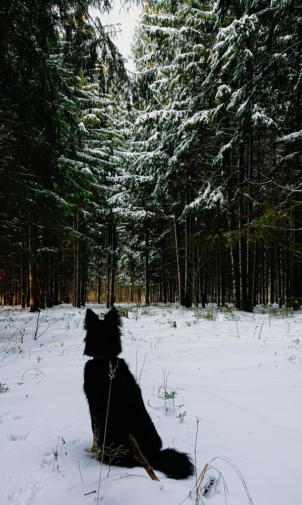 Photo #5583271