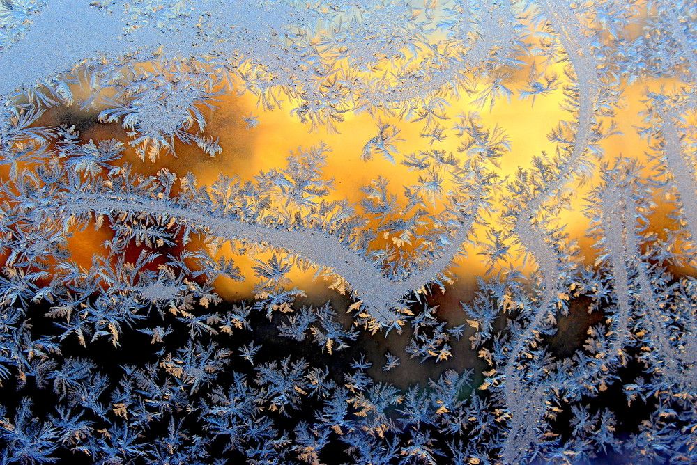 Photograph by Жанна Валиева