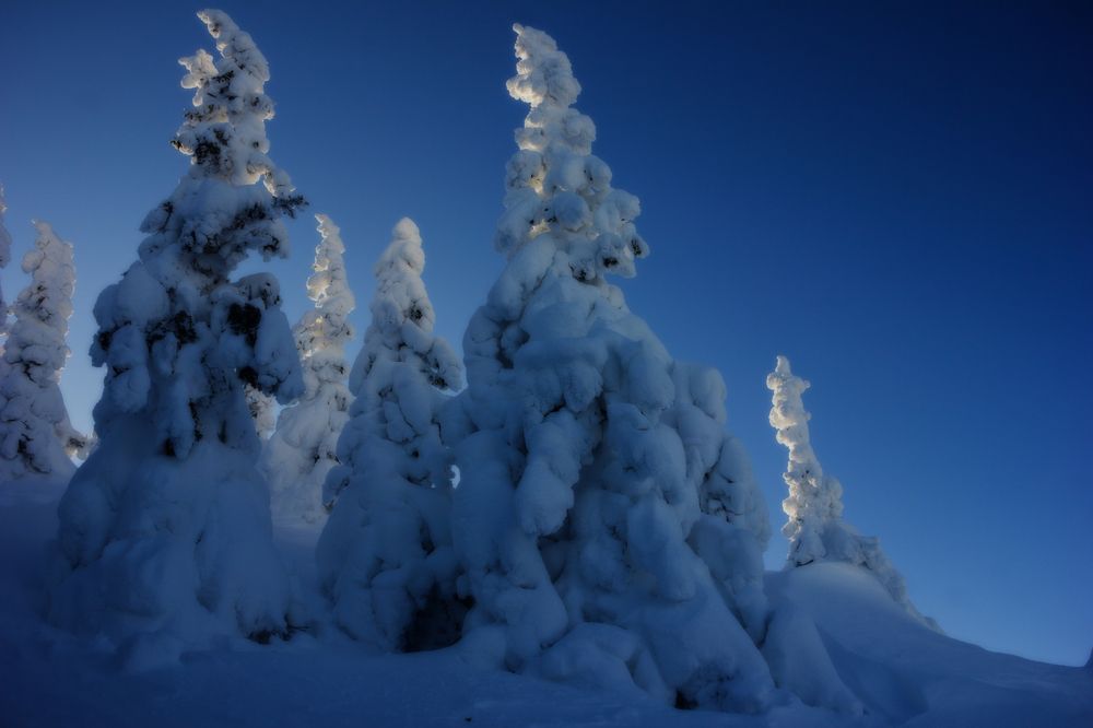 Предзакатное.