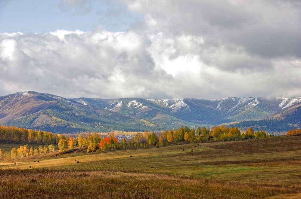 Первый снег.