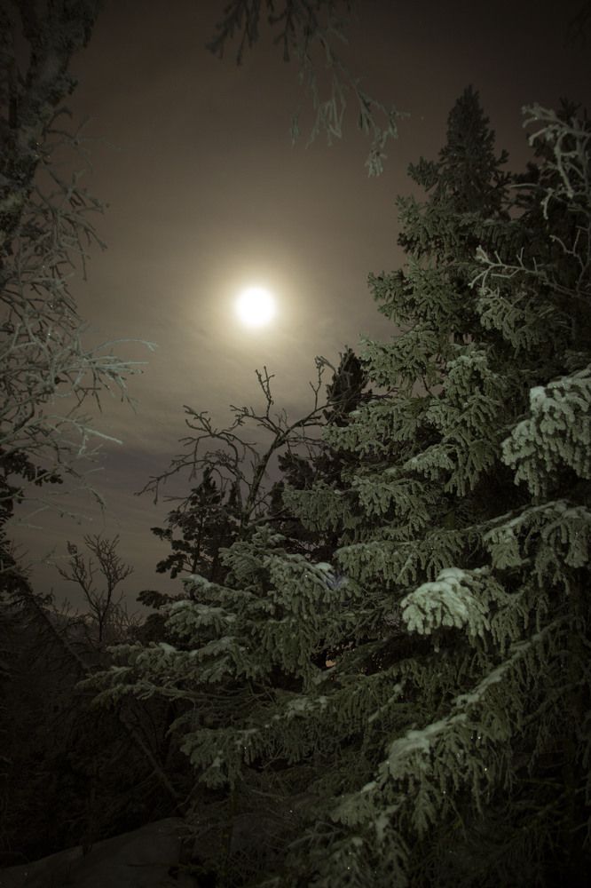 Photograph by Елена Перминова