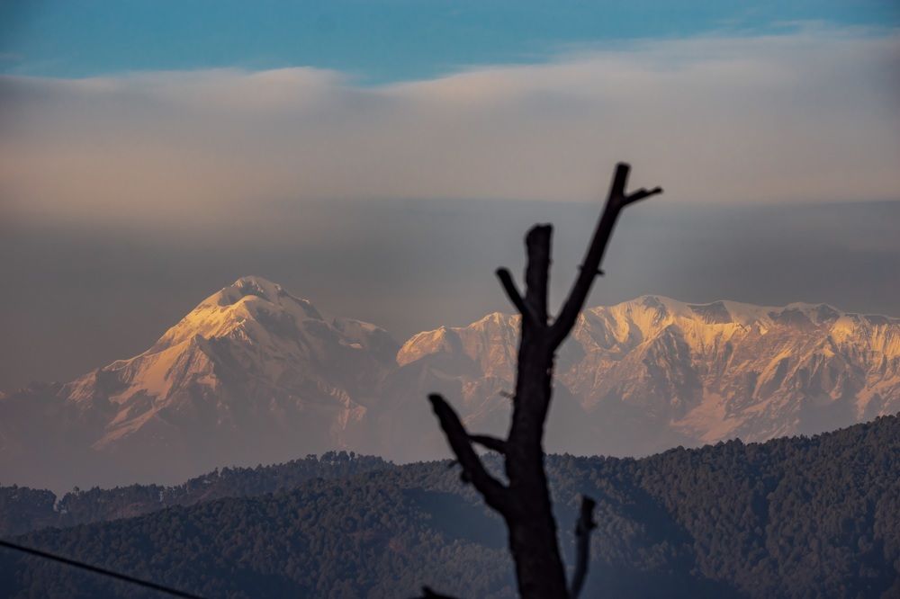 Фотография автора savitri Rawat