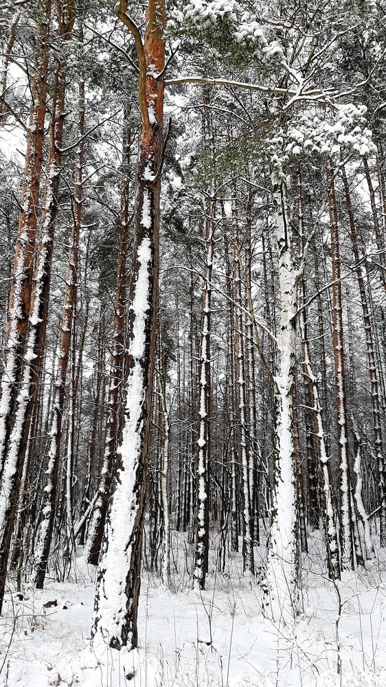 Photograph by Марийона Савоненко