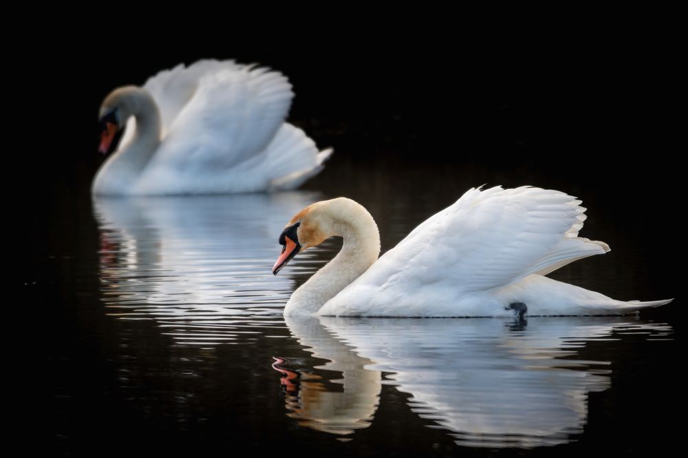 Photograph by Wiktor Kulesa