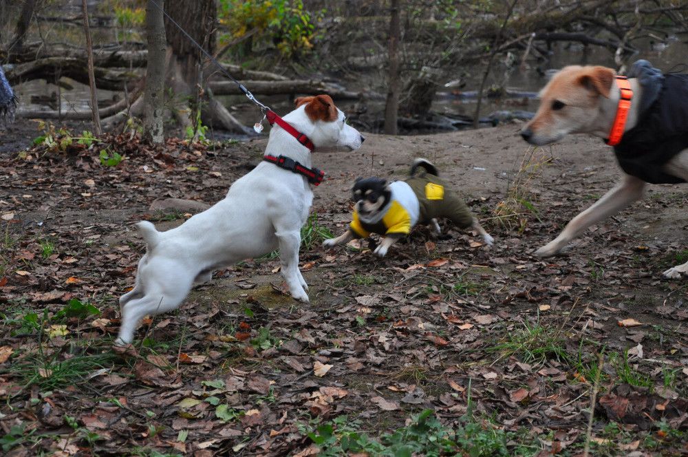 Photograph by Юлия Лис-а