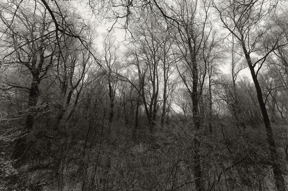 Photograph by Serhij Kharchenko