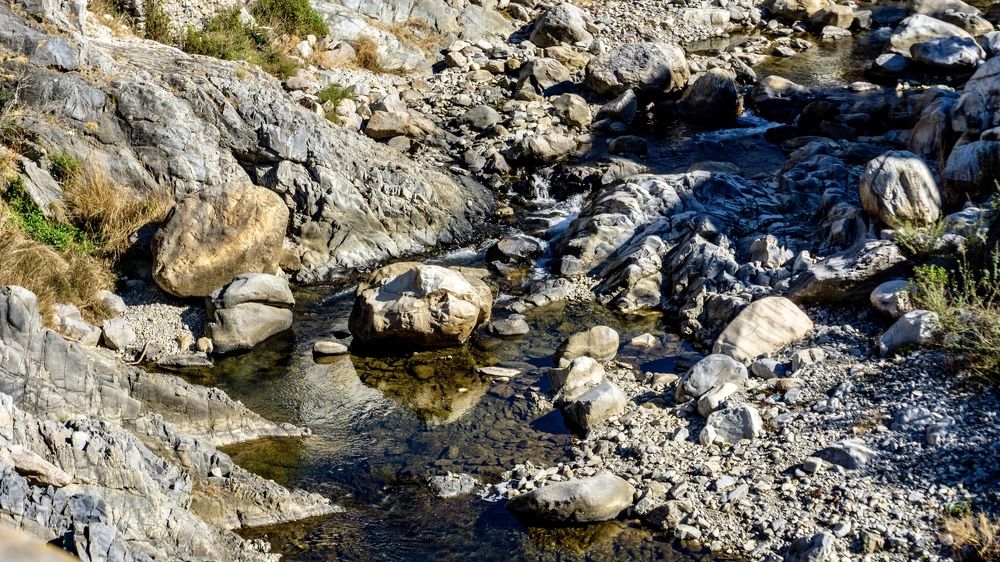 Фотография автора savitri Rawat